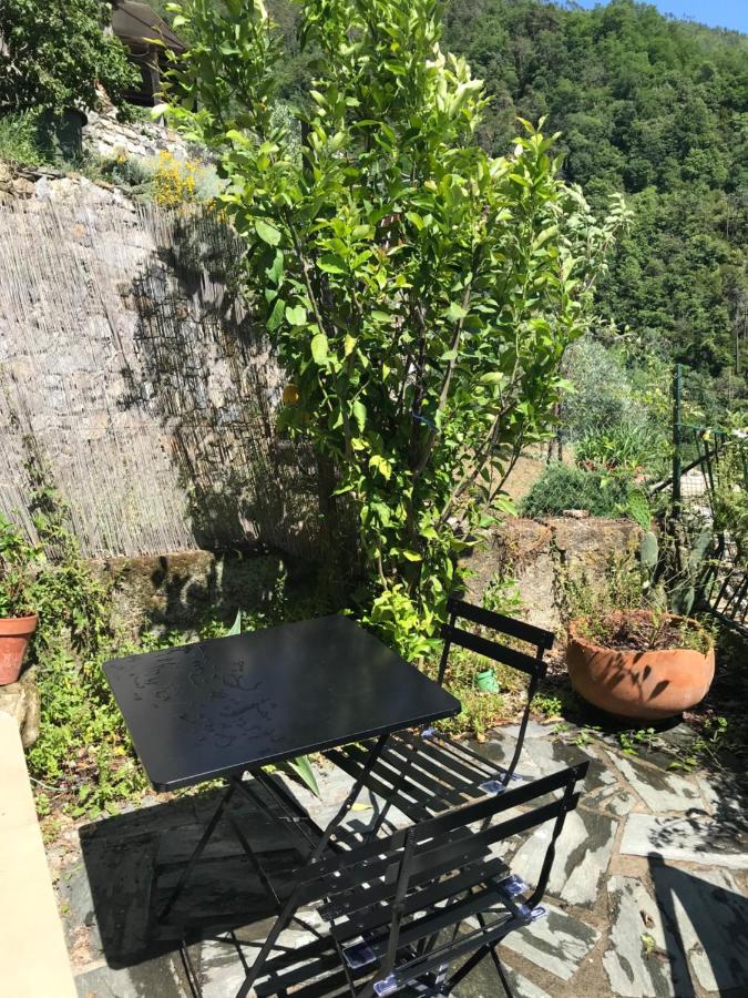 Cottage La Terrazza Levanto Eksteriør bilde
